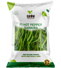 Chilli / Hot Pepper F1 Samaira 10 grams